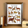 Alexia Claire | Deers of Britain | Postcard | Conscious Craft